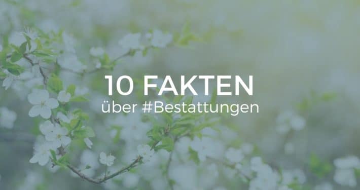 10 Fakten über Bestatter