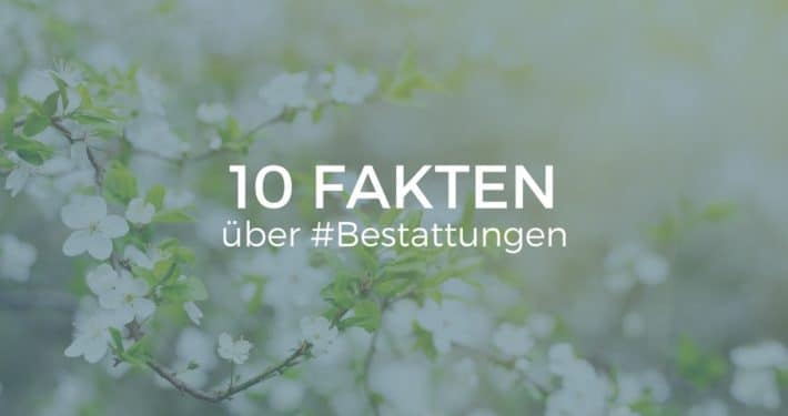 10 Fakten über Bestatter