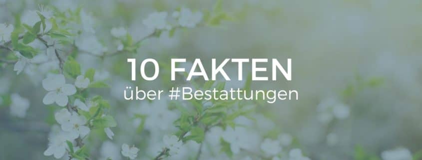 10 Fakten über Bestatter